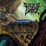 Septycal Gorge ‎– Growing Seeds Of Decay CD
