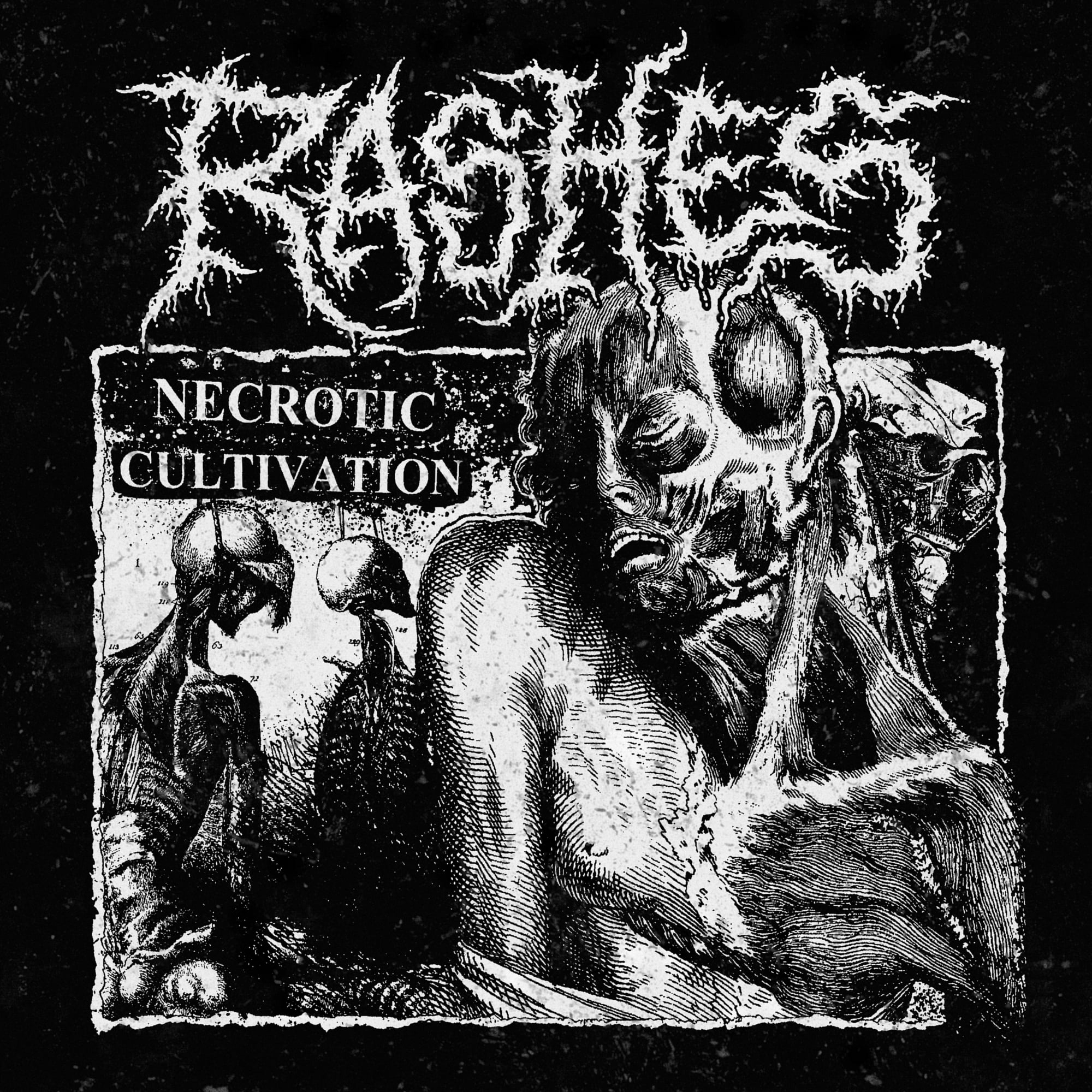 Rashes – Necrotic Cultuvation